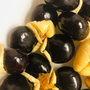 Jamaican Ackee Seeds - Blighia Sapida - Grow Your Own Tree (5 Seeds ONLY!)