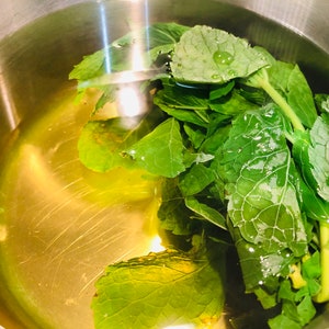 Fresh Jamaican/costa Rican Mint Leaves and Stems Fresh Cuttings (NOT A ...
