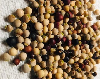 Pigeon Peas / Gungo Peas / Gandules - dried