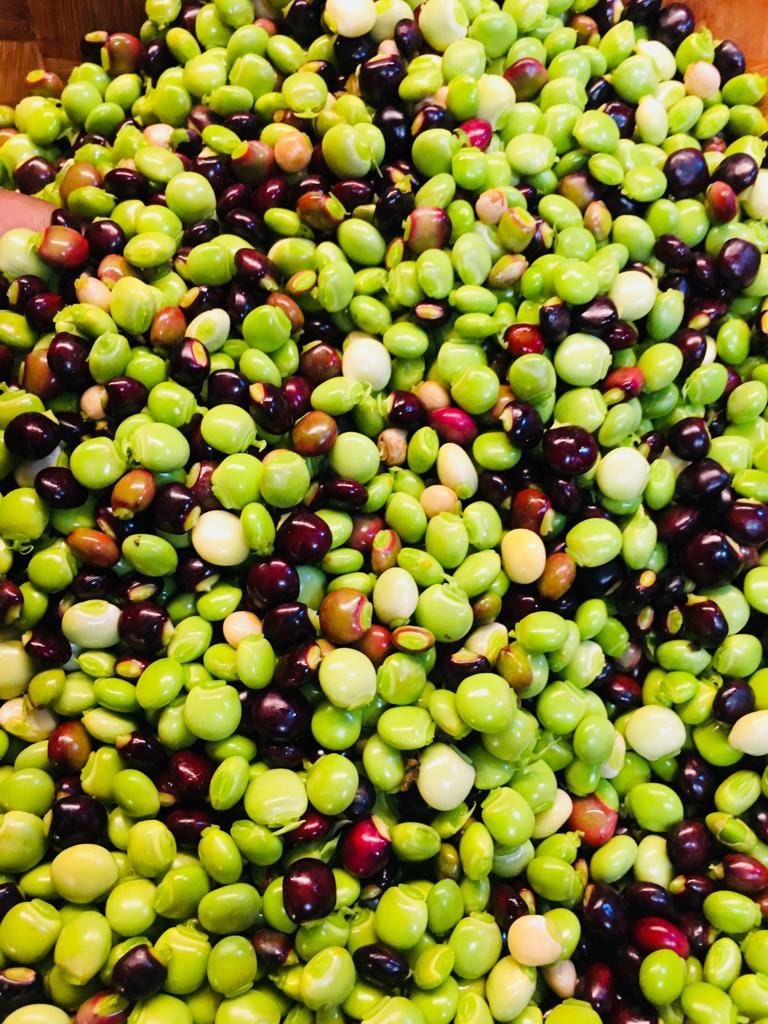 Pigeon Peas / Gungo Peas / Gandules Dried Etsy