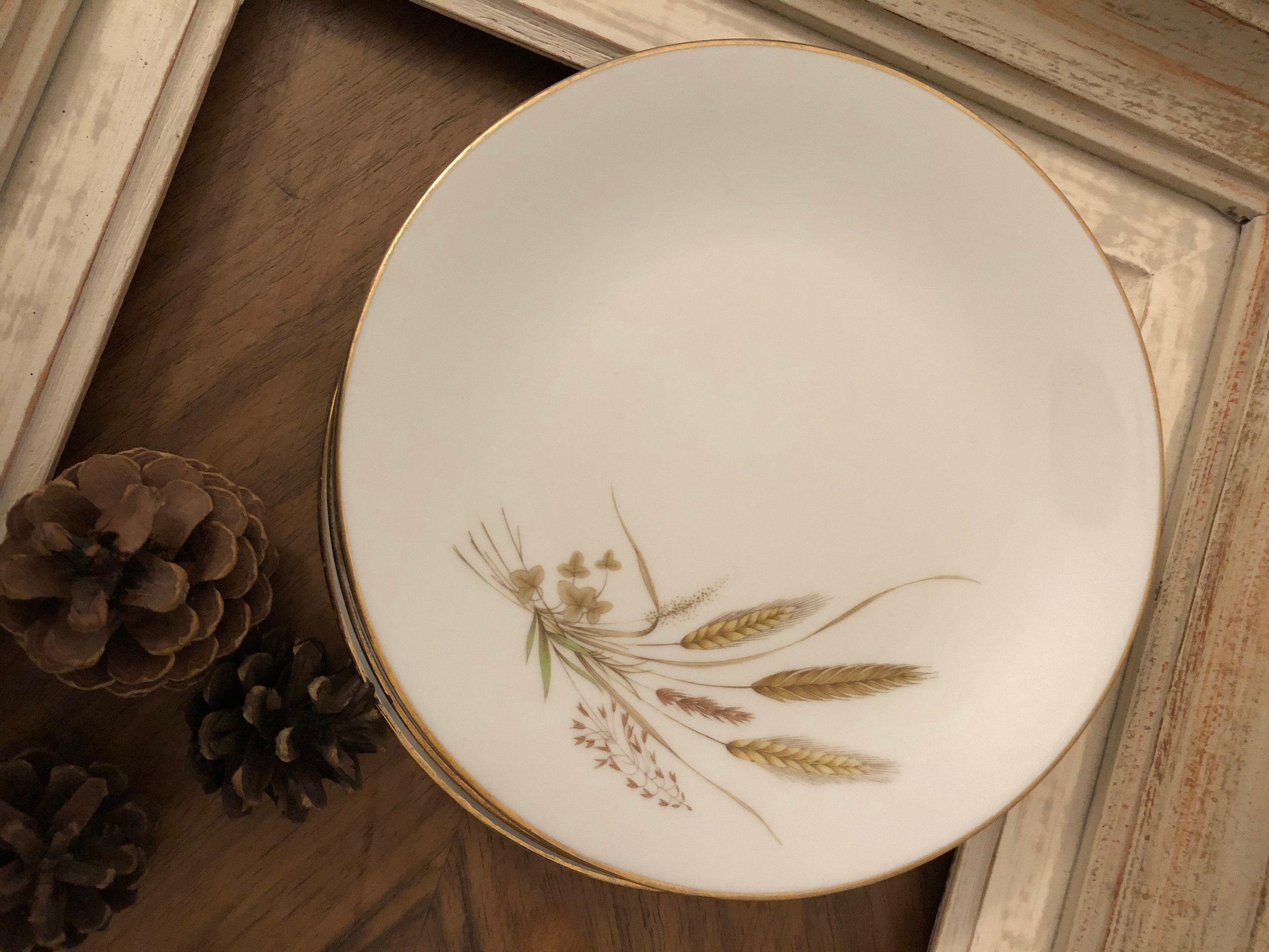 Assiettes à Dessert, Assiette Dessert en Porcelaine, Assiettes Porcelaine de Couleuvre