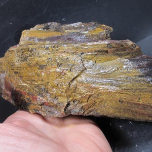 Puede incluir: Un trozo de madera petrificada con apariencia estratificada. La madera muestra una mezcla de colores, incluyendo tonos marrones, amarillos y toques de rojo. La superficie tiene una textura rugosa y la madera parece ser un espécimen geológico natural.