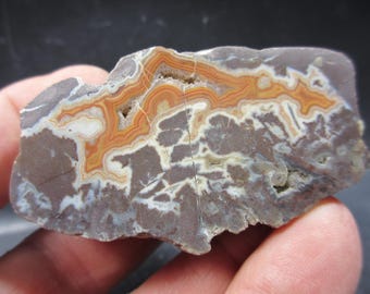 Dryhead-agaat, spiegelgepolijste uiteinden, geweldige vestingwerken, Bighorn River Area, Pryor Mountains, Carbon Co., Montana