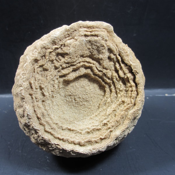 Sand Stromatolite, Lower Cretaceous, Tegana Formation, Kem-kem Basin, K'Sar-es-Souk Province, South of Taouz, Morocco