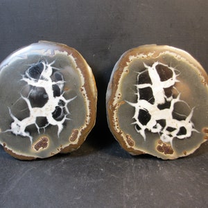 Dazzling Septarian Pair, Mirror Polish, Intricate Pattern, Devonian. nr. Erfoud, Morocco