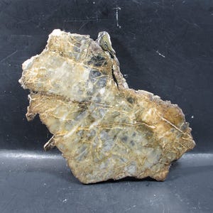 Puede incluir: Un espécimen mineral en bruto de forma irregular y aspecto estratificado. La piedra presenta una mezcla de secciones translúcidas y opacas, con colores que van del beige claro al marrón oscuro y toques de gris. La superficie tiene una cualidad ligeramente reflectante.