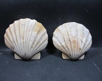 il_340x270.6671646455_a0ad.jpg