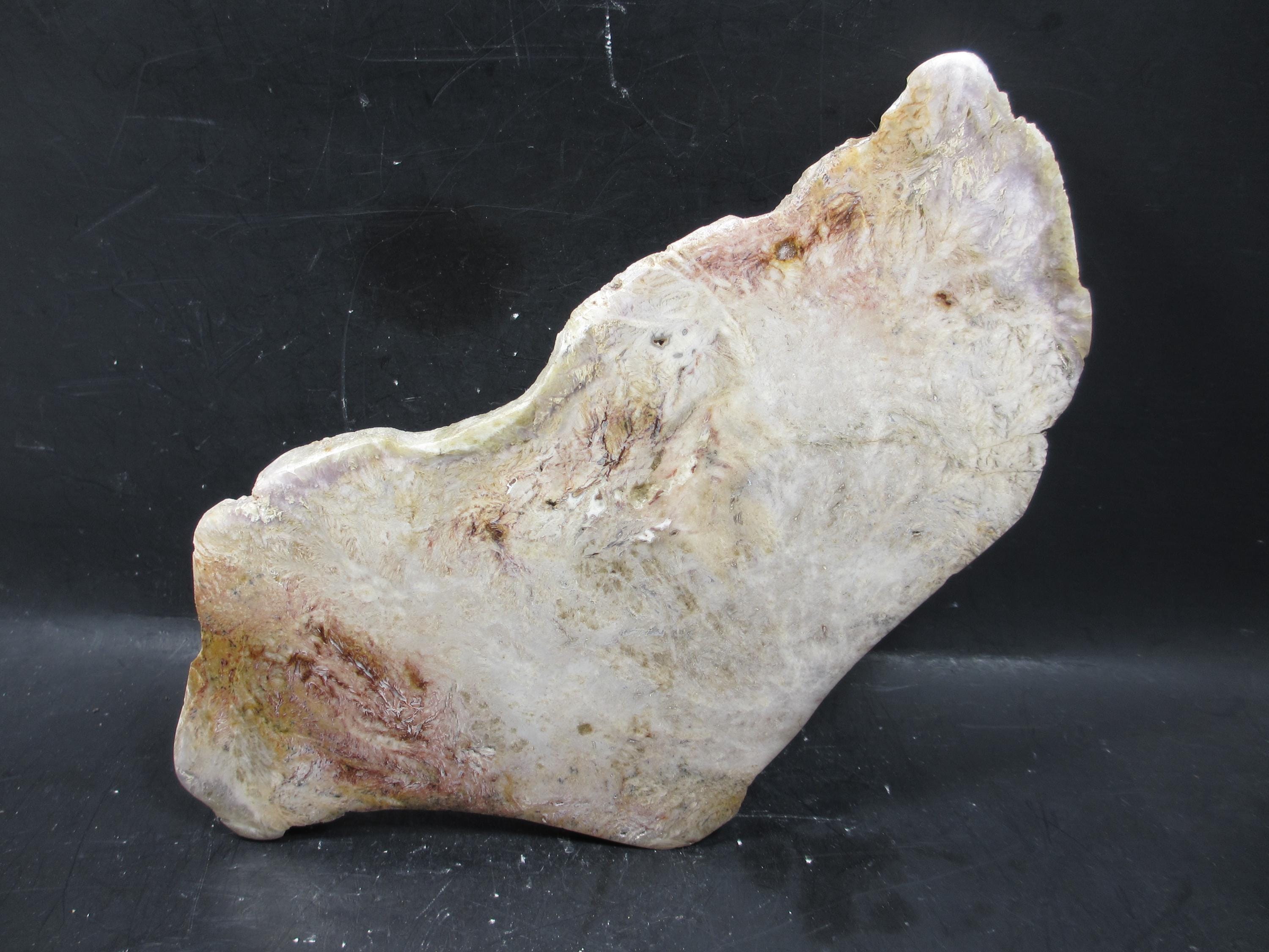 Rare Fossil Moss Preserved in Flowstone, Miocene, Barstow Formation, Ca. Mirror Polish, Museum Quality