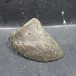 Pode incluir: Um objeto de pedra cinza-marrom desgastado, com um topo arredondado e uma base plana. A pedra tem uma superfície áspera e texturizada com pequenos orifícios e uma forma natural e orgânica. O objeto parece ser um artefato natural.