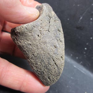 Pode incluir: Uma pedra cinza-marrom desgastada, com formato curvo. A superfície tem uma textura áspera com pequenos buracos e rachaduras. O objeto é segurado em uma mão, mostrando seu tamanho. A pedra parece ser um artefato natural.