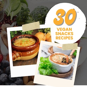 The Fit Penguin-30 Vegan Snack Recipes