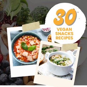 The Fit Penguin-30 Vegan Snack Recipes