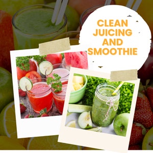 The Fit Penguin 10+3 Clean Juice and Smoothie Recipe