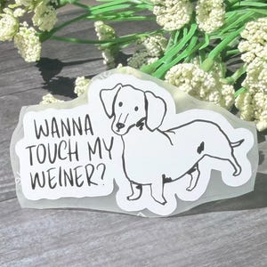 Wanna Touch My Weiner? Weiner Dog - Dachshund Waterproof Decal