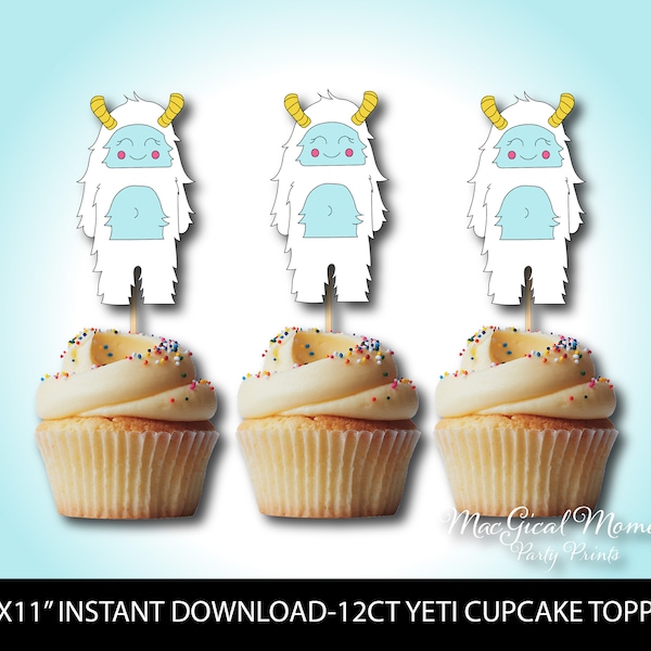 Yeti Birthday Party Etsy