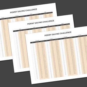 Penny Saving Challenge - 365 Day Tracker Sheets Printable - Daily Monthly Savings Tracker
