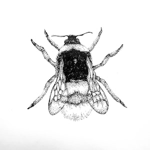 Dot work bumble bee print