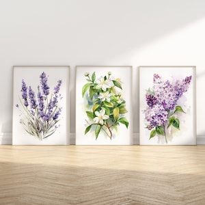 Set of 3 Watercolors Lilac Jasmin Lavender Watercolor Download Flowers Print Watercolor Flowers Poster Botanical Wall Art Digital Wall Art