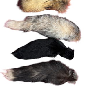 Fox and Raccoon Fur tail with key chain