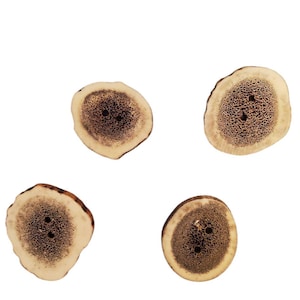 Peut inclure: Quatre boutons en bois de cerf brun avec une texture naturelle et organique. Les boutons sont ronds et ont un trou au centre.