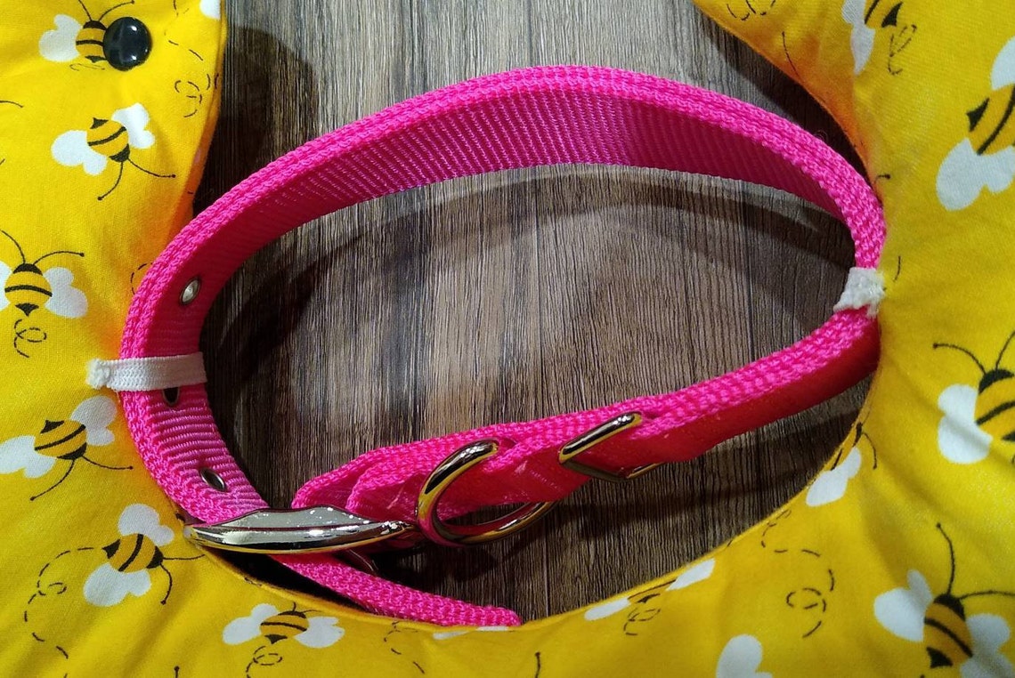 Soft Dog E Collar Cone of Shame Surgery Cone Surgery Dog Etsy