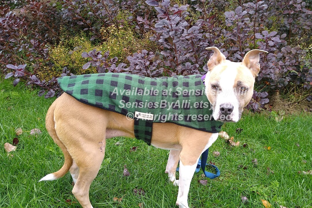 Flannel Dog Jacket, Fleece Dog Coat, Green Plaid Dog Coat, Plaid Dog