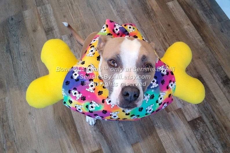 Bone of Shame Dog E Collar Cone of Shame Dog Surgery Cone Etsy