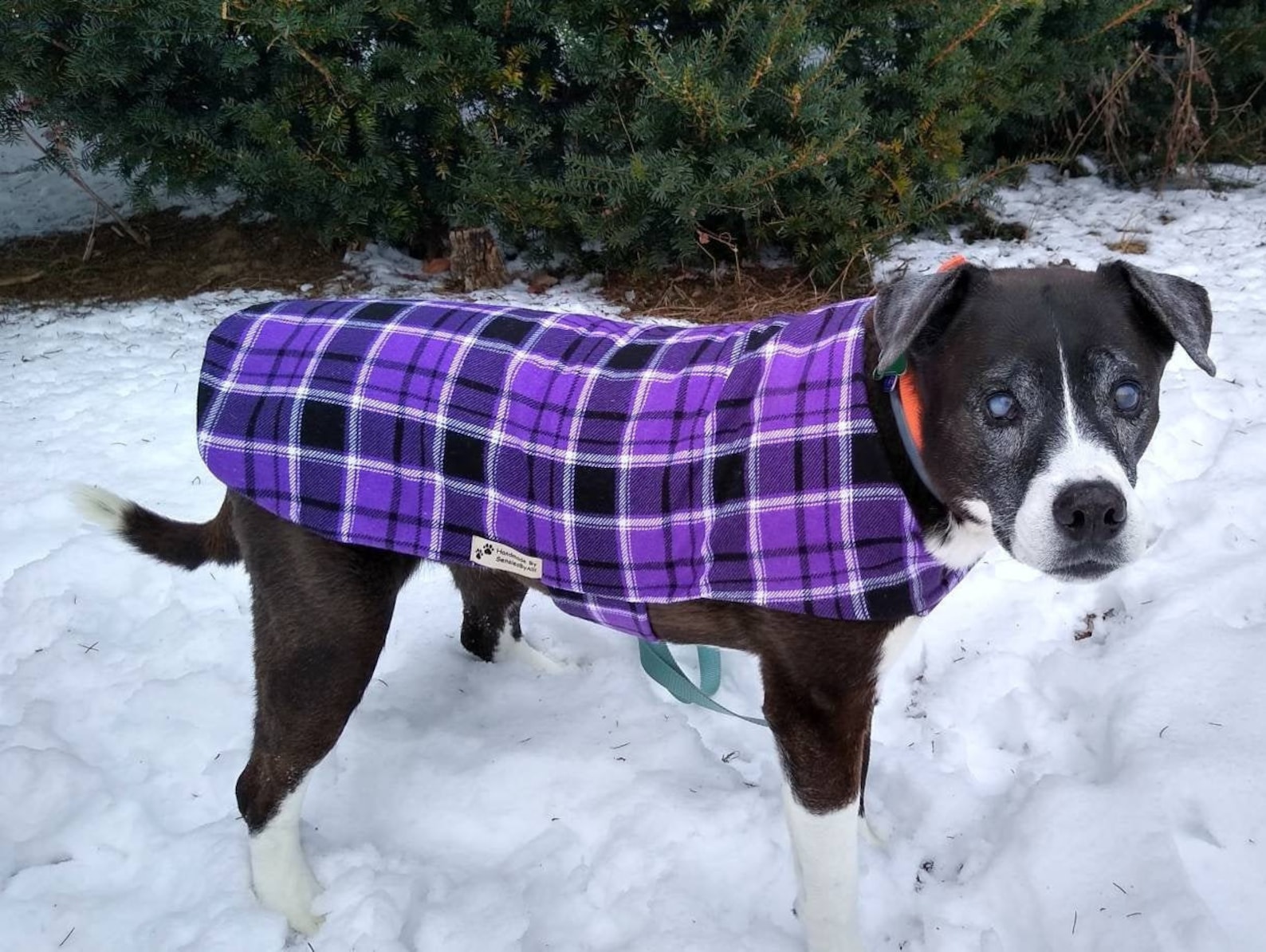 Flannel Dog Coat Fleece Dog Coat Plaid Dog Coat Purple Dog Etsy