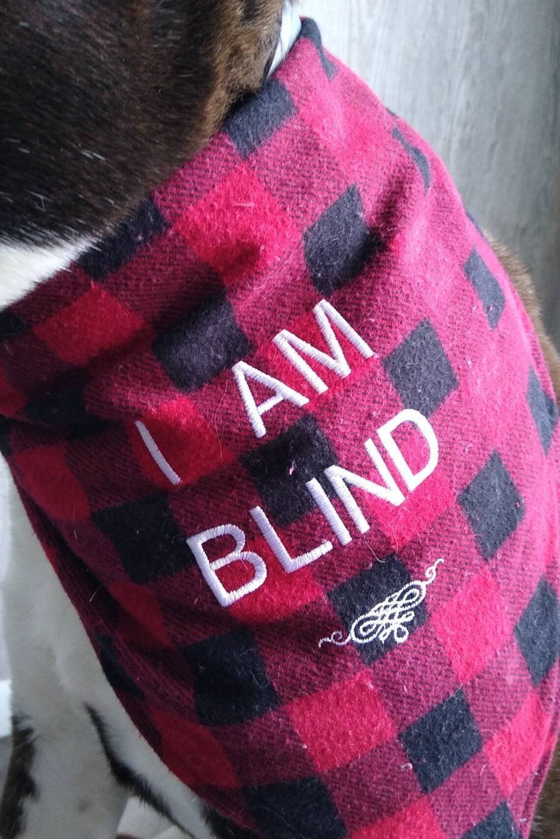 Embroidered Blind Pet Bandana Blind Pet Bandana I Am Blind Etsy
