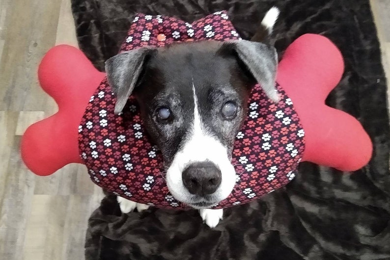 Cone of Shame Recovery Cone Post Surgery Dog Collar Pillow Collar Dog E Collar Dog Surgery Cone Bone of Shame Soft Dog E Collar