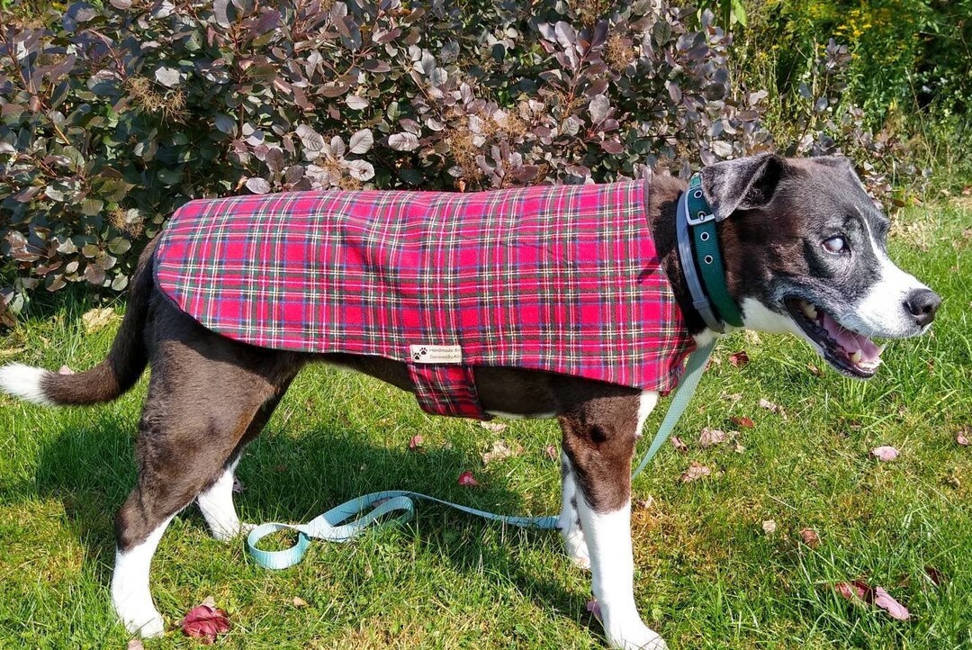 Flannel Dog Coat, Fleece Dog Coat, Fleece Dog Jacket, Tartan Plaid