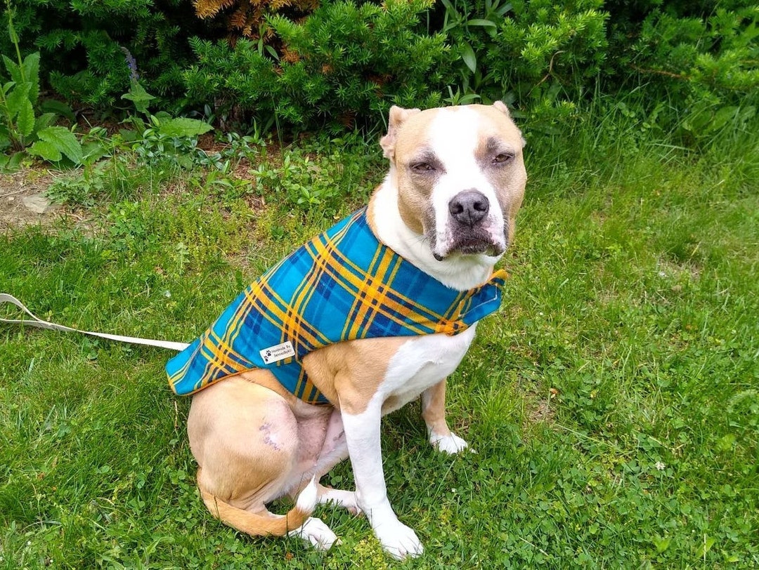 Flannel Dog Coat Fleece Dog Jacket Teal Dog Coat Orange Dog Etsy