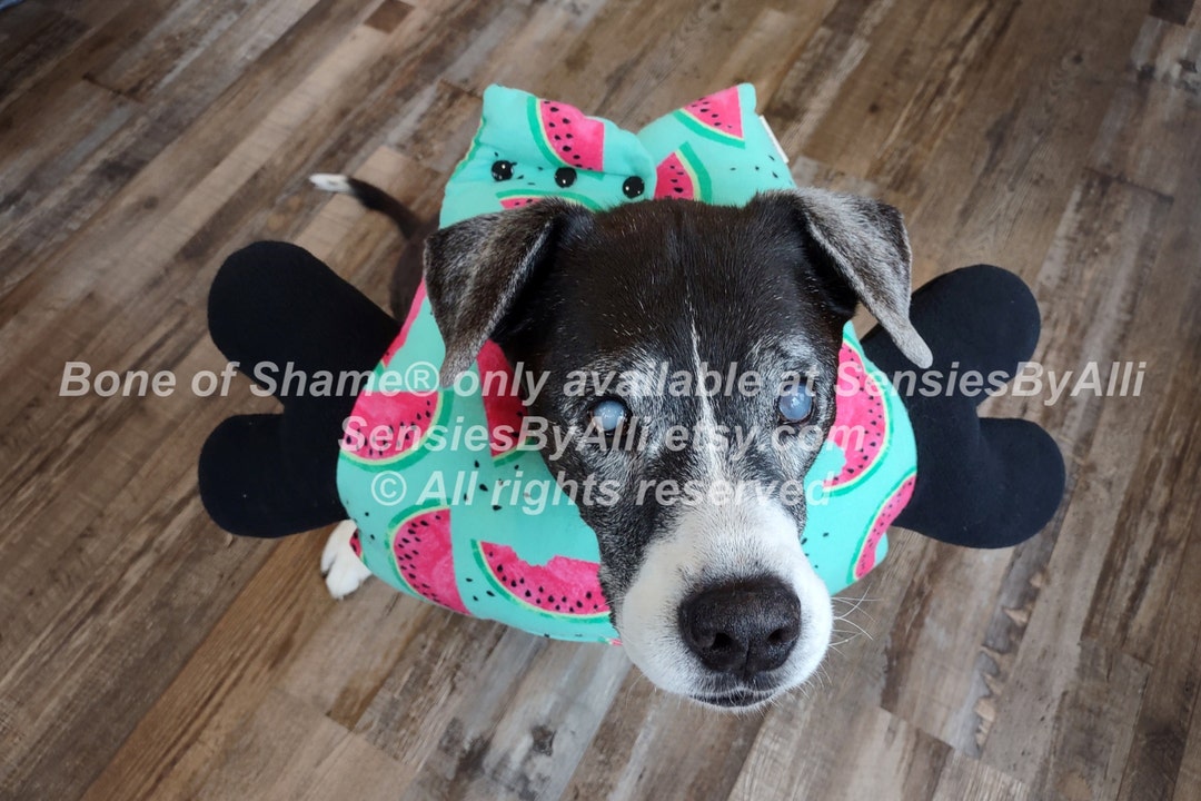 Bone of Shame, Dog E Collar, Cone of Shame, Dog Surgery Cone, Surgery