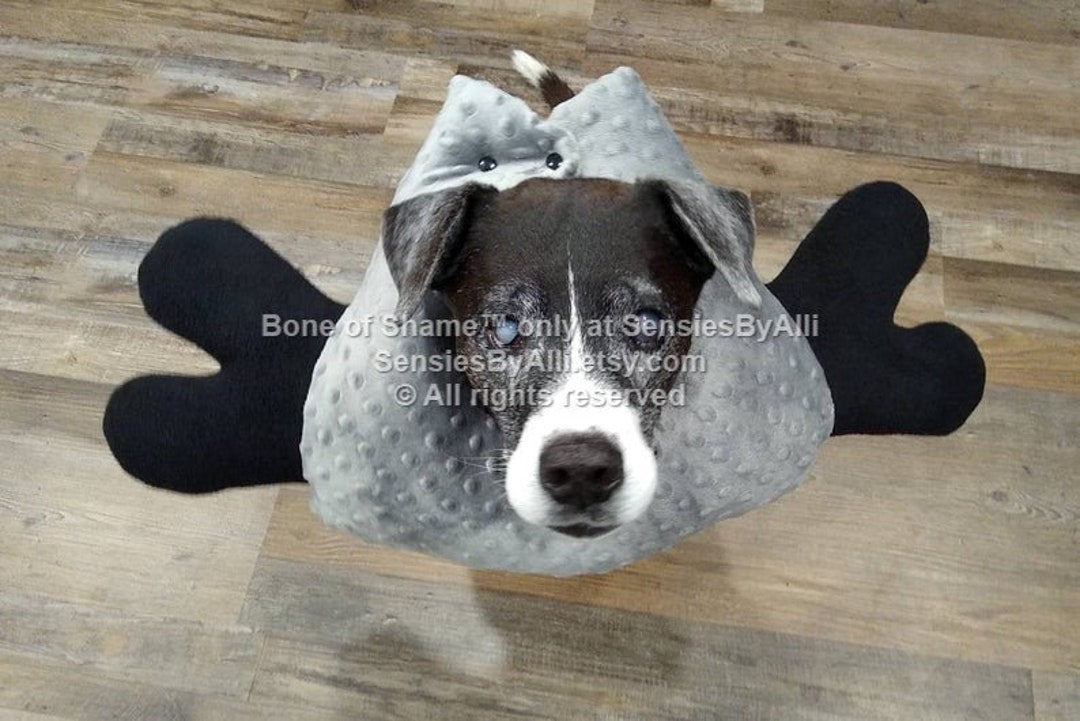 Bone of Shame, Soft Elizabethan Collar, Cone of Shame, Post Surgery Dog