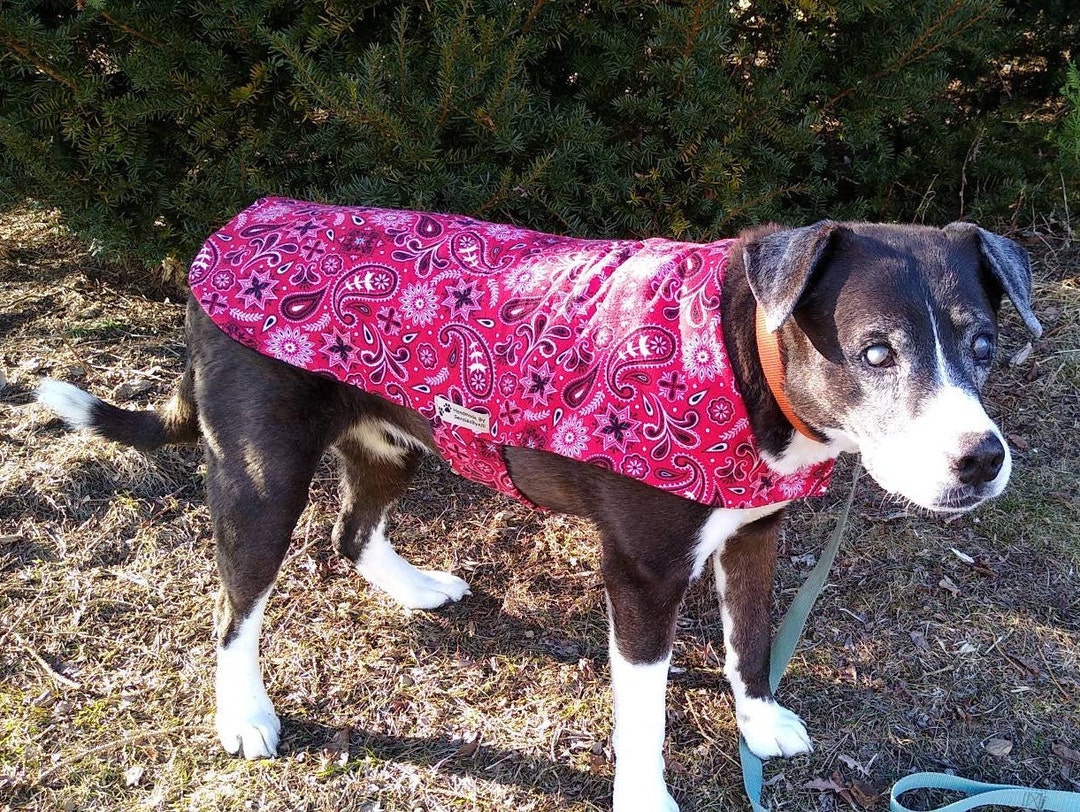 Flannel Dog Coat, Fleece Dog Coat, Red Dog Coat, XL Dog Coat, Large Dog