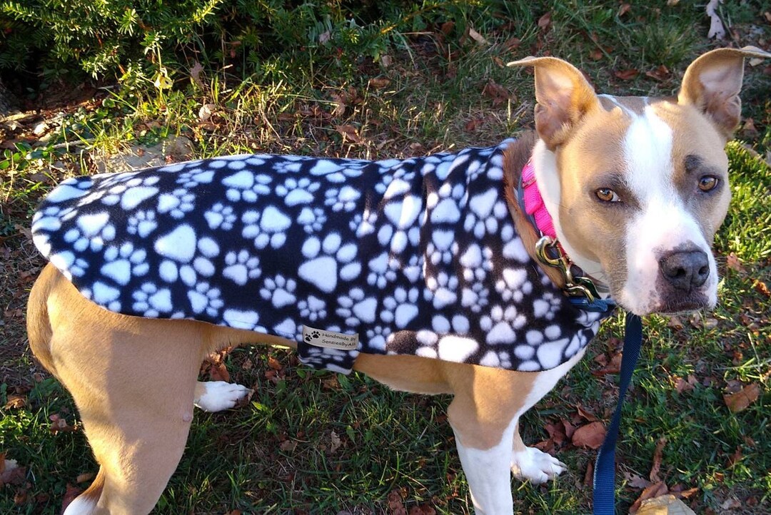 Fleece Dog Coat, Double Fleece Dog Coat, Winter Dog Coat, XL Dog Coat