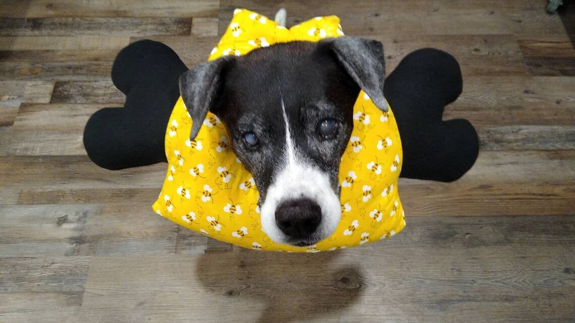 Soft Dog E Collar Cone of Shame Surgery Cone Surgery Dog Etsy