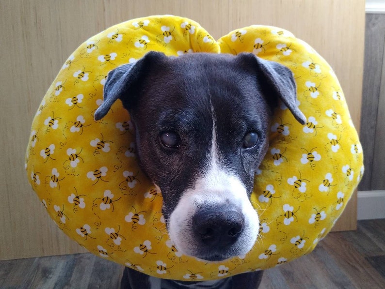 Soft Pet E-Collar Cone of Shame Dog E-Collar Dog Surgery | Etsy