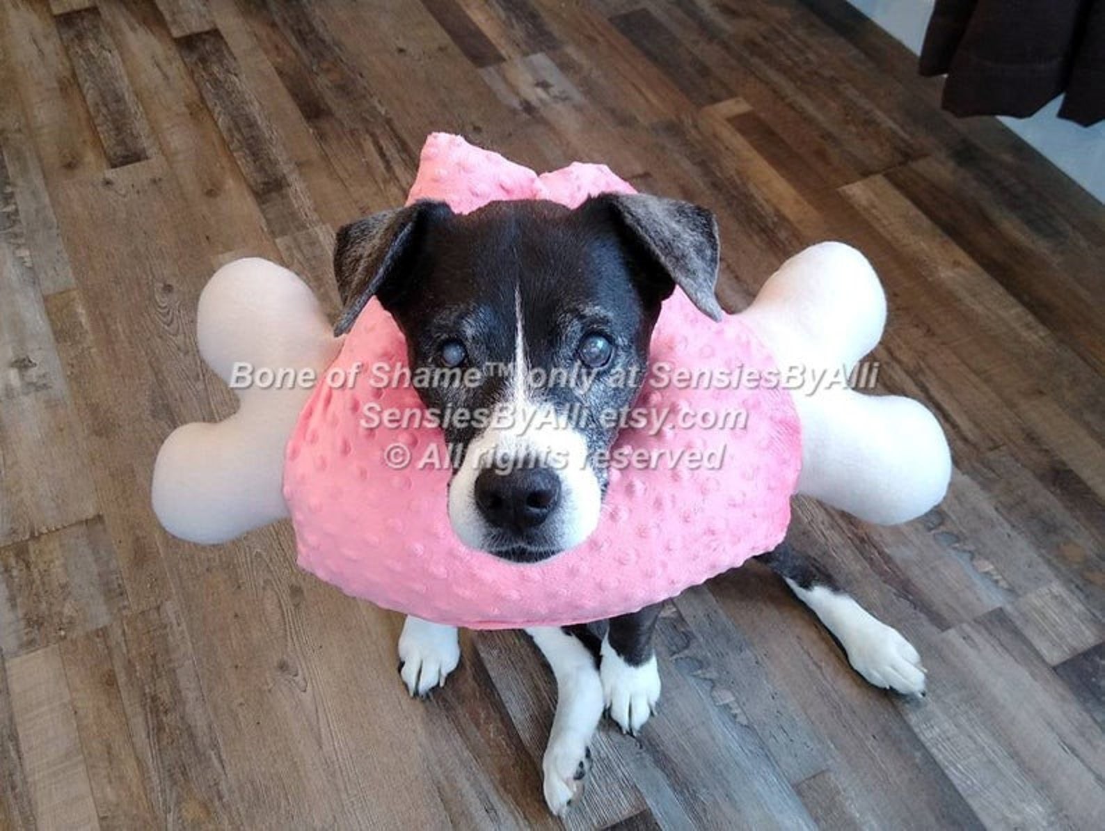 Bone of Shame Dog Soft E Collar Cone of Shame Dog E Collar Etsy Bone of Shame Dog Soft E Collar Cone of Shame Dog E Collar Etsy