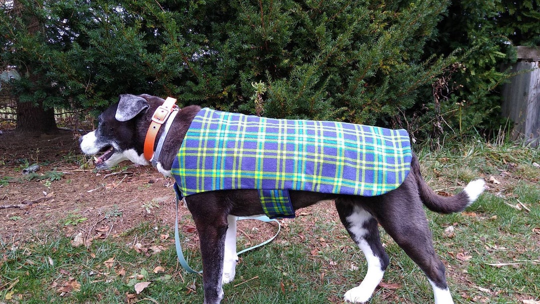 Flannel and Fleece Dog Coat, Flannel Dog Jacket, Fleece Dog Coat, Lime