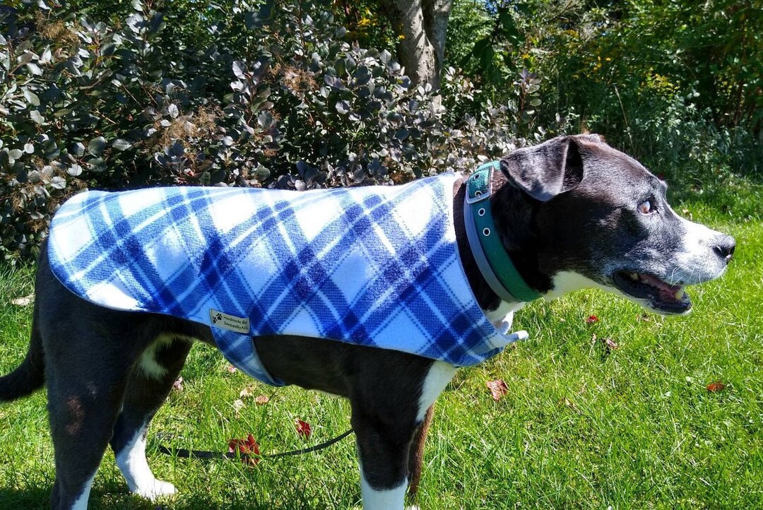 Fleece Dog Coat, Plaid Dog Coat, Blue Dog Jacket, Blue and White Dog