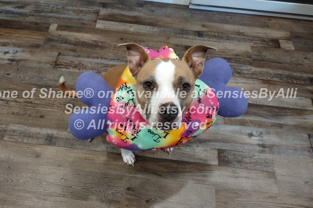 Bone of Shame, Dog E Collar, Cone of Shame, Dog Surgery Cone, Surgery