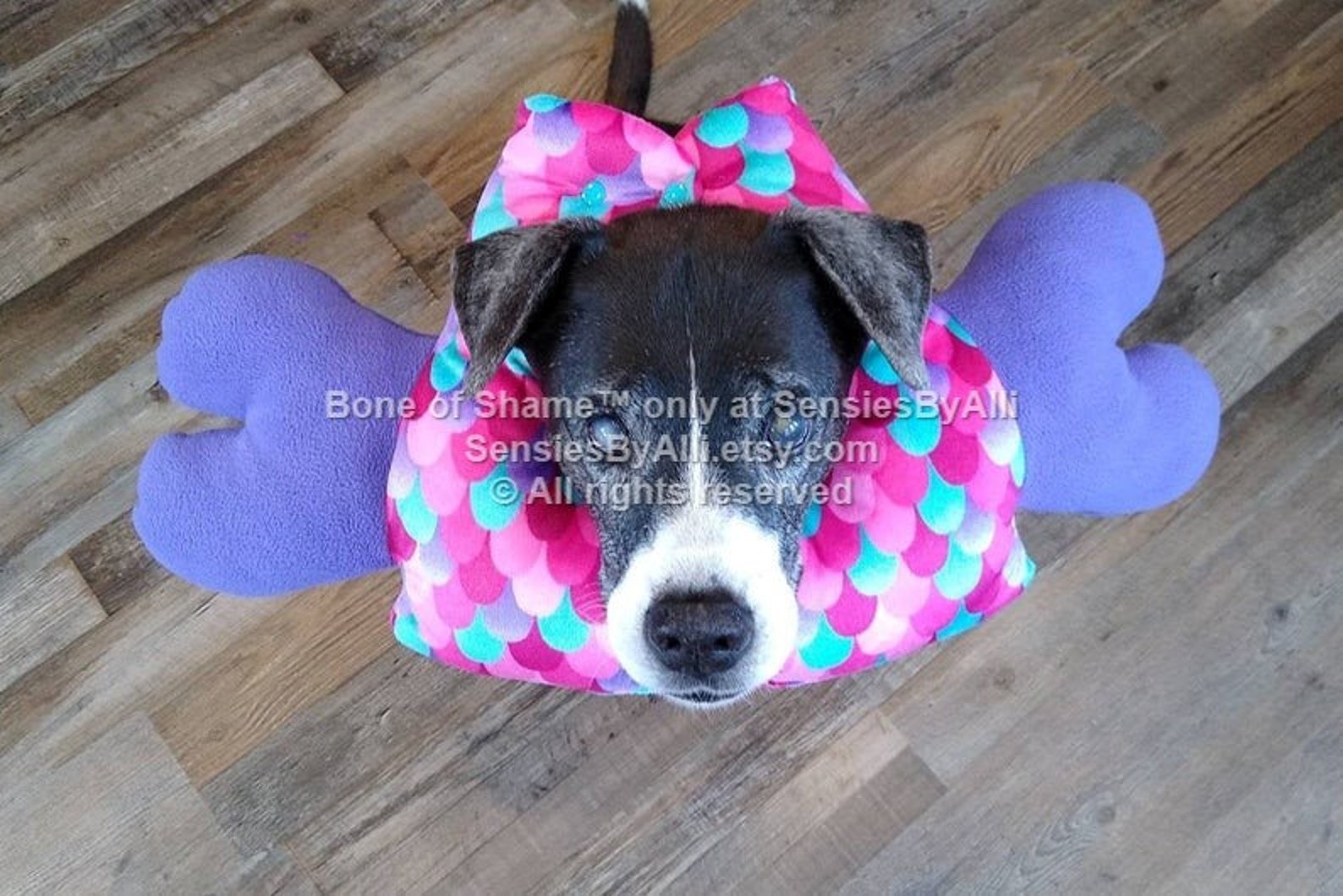 Bone of Shame Dog Soft E Collar Dog Cone of Shame Dog Etsy