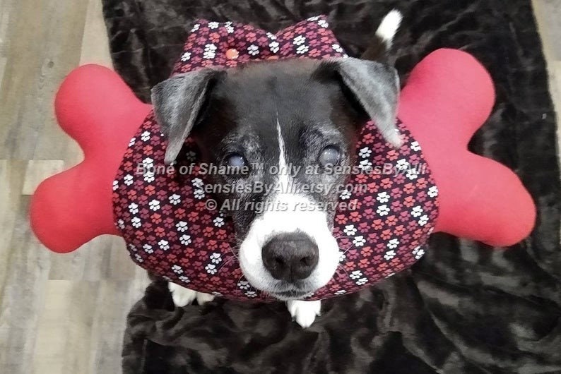 Bone of Shame Soft Dog E Collar Cone of Shame Dog E Collar Etsy UK