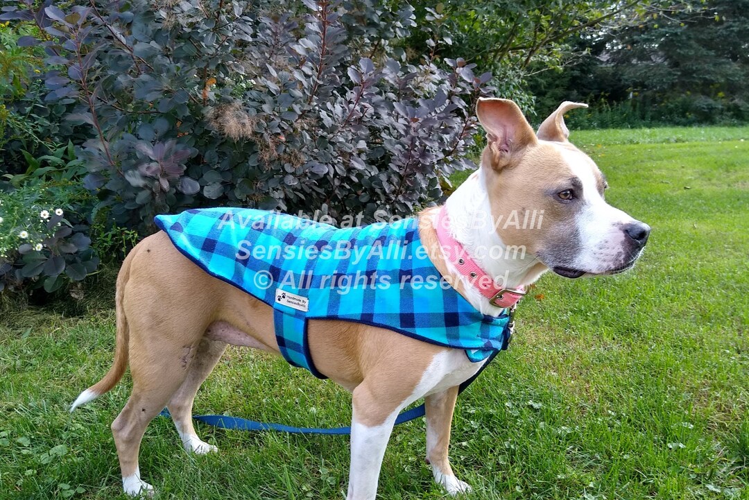 Flannel and Fleece Dog Coat, Flannel Dog Jacket, Fleece Dog Coat, Blue