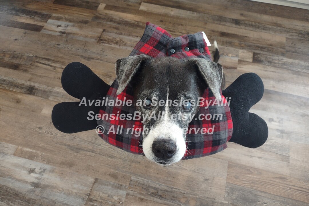 Bone of Shame, Soft Elizabethan Collar, Cone of Shame, Post Surgery Dog