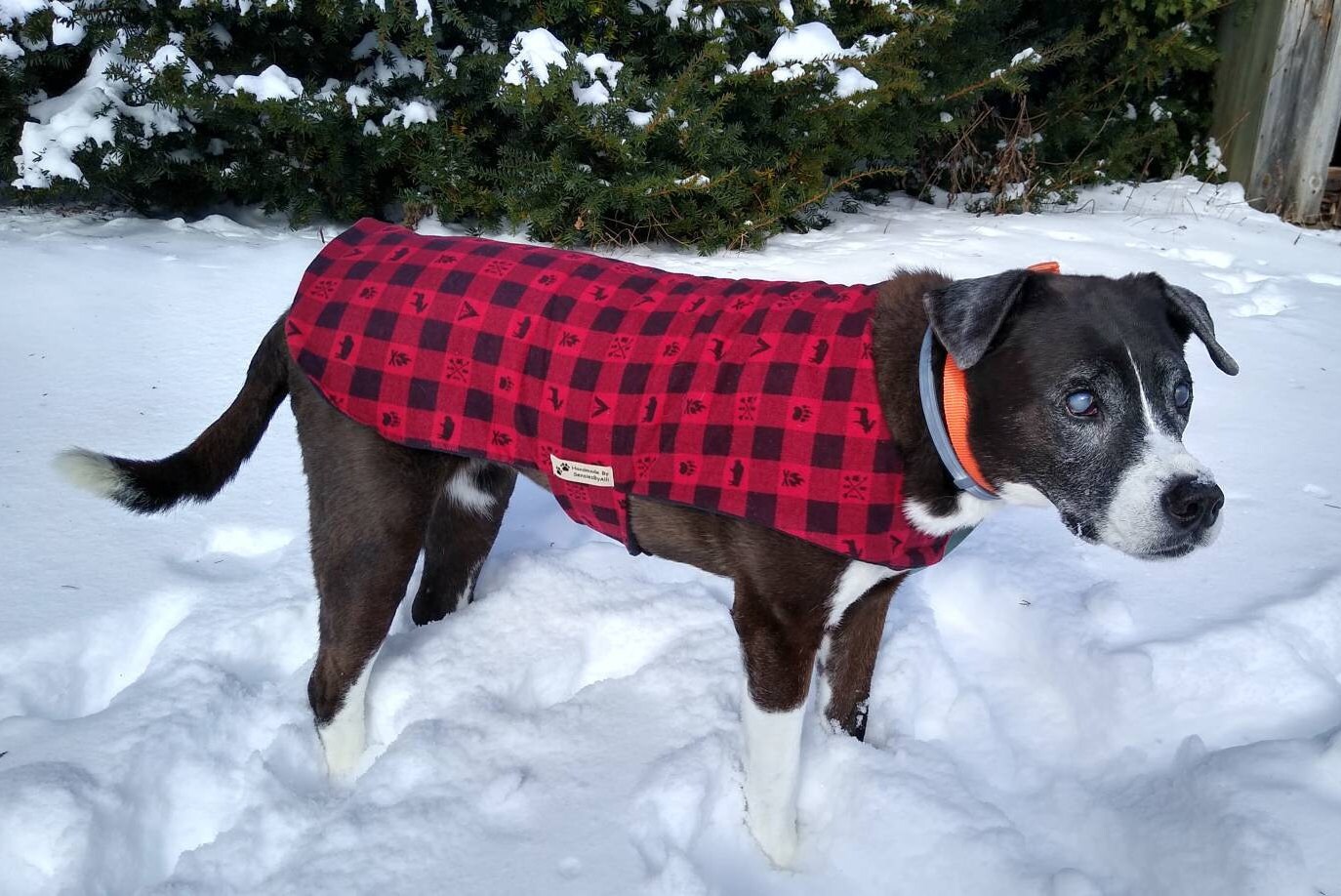 Flannel Dog Coat Fleece Dog Coat Buffalo Plaid Dog Coat Red Etsy
