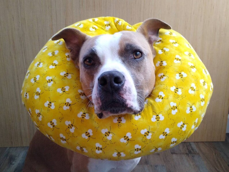 Soft Pet ECollar Cone of Shame Dog ECollar Dog Surgery Etsy
