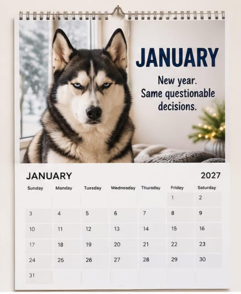 2027 Dogs Judging You Wall Calendar | Sarcastic Pet Humor, Monthly ...