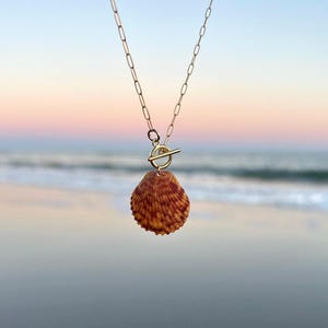 May include: A gold-colored chain necklace with a toggle clasp, suspending a natural seashell pendant. The shell is a warm brown with reddish-orange stripes. The background shows a blurred ocean and sky.